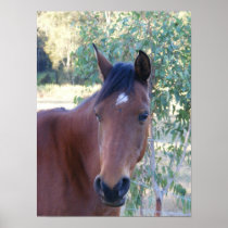 GIDDY UP POSTERS