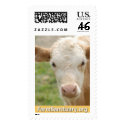Gidget the Calf postage by FarmSanctuary Gidget the Calf postage