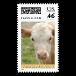Gidget the Calf postage