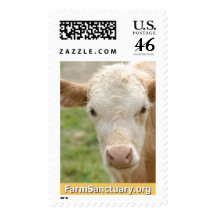 Gidget the Calf Stamps