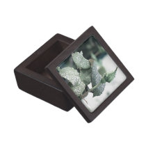 Gift Box (Premium) - Rosebud with Rain Drop Premium Gift Box
