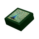 Gift Box - Proud Peacock