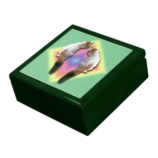 Gift Box - Rainbow diamond with cats