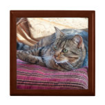 Gift box: Tabby Cat Gift box: Tabby Cat