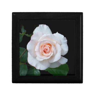 Gift Box with Elegant Pale Pink Rose giftbox