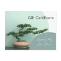 Gift Certificate Template-Flat-Bonsai Circles postcards by gbdesignworks Gift Certificate Template-Flat-Bonsai Circles postcards
