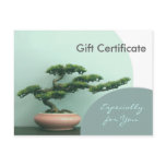 Gift Certificate Template-Flat-Bonsai Circles Post Card