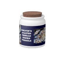 Gift Collection Jars Agates Fossils Rocks Shells Candy Jar