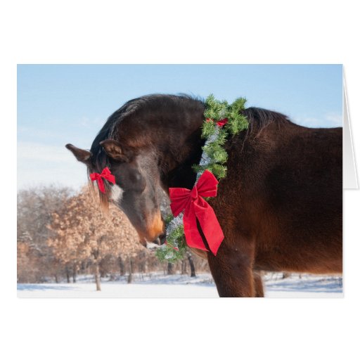 gift horse for christmas card zazzle gift horse for christmas card zazzle