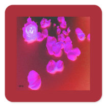 GIFT STICKER PINK PETALS ON RED ILLUMINATED