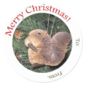Gift Tag -- Squirrel Ornament stickers