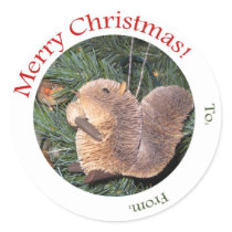 Gift Tag -- Squirrel Ornament stickers