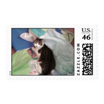 Gift wrapped cat stamp