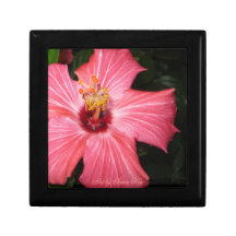 Giftbox. Amazing Hibiscus Keepsake Box