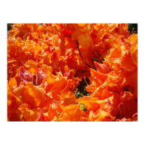 GIFTS Boss Manager Orange Azalea Art Prints Canvas by Basleeartprintgifts GIFTS Boss Manager Orange Azalea Art Prints Canvas