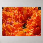 GIFTS Boss Manager Orange Azalea Art Prints Canvas