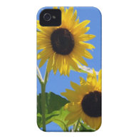 Gifts for All iPhone 4 Cases