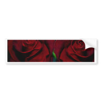 Gifts of Love Bumper Stickers