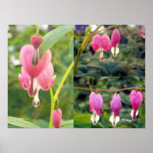 Gifts Poster