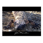 Gila Monster Post Cards