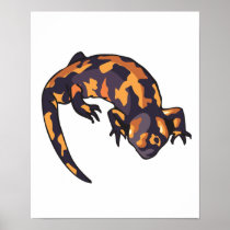 gila monster print