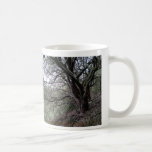 Gilroy Hot Springs mug - manzanita