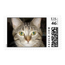 Gin Stamp
