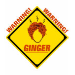 Ginger Alert! T Shirts