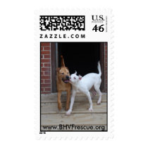 Ginger and Dusty Stamps