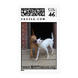 Ginger and Dusty Stamps