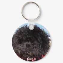 Ginger keychains