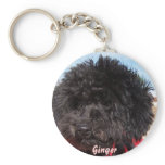 Ginger Key Chains