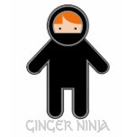 GINGER NINJA TEE SHIRTS