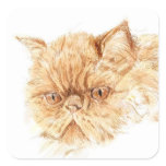 ginger persian stickers