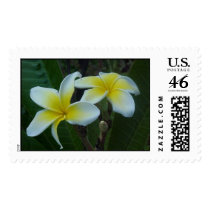 Ginger postage by samm9259 Ginger postage