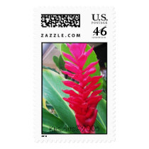 ginger stamp by KrisArts ginger stamp
