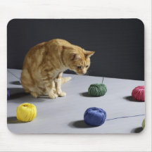Ginger tabby cat sitting on table mouse pads
