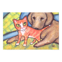 Ginger Tabby Kitten With Golden Labrador Retriever posters