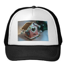 Gingerbread Birdhouse I Hats