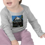 Gingerbread house 11 t shirts