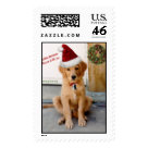 postcard - Golden Retriever Rescue of WI