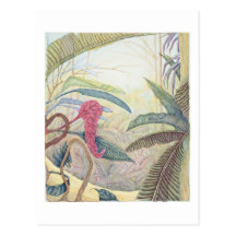 Gingerlily Post Card