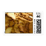 Gingersnap Cookie Postage