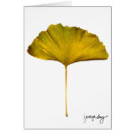 "Gingko" by J. Maya Luz Card