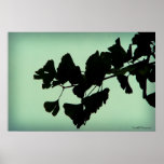 Gingko Print