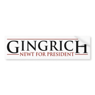 Gingrich - Newt for Presidnet bumpersticker