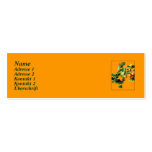 Ginkgo biloba - Business Card (slim)