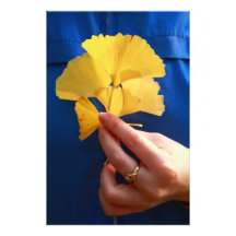 Ginkgo biloba leaves photo art