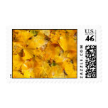 Ginkgo Biloba leaves Stamps