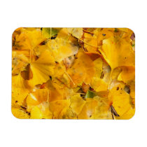 Ginkgo Biloba leaves Magnets